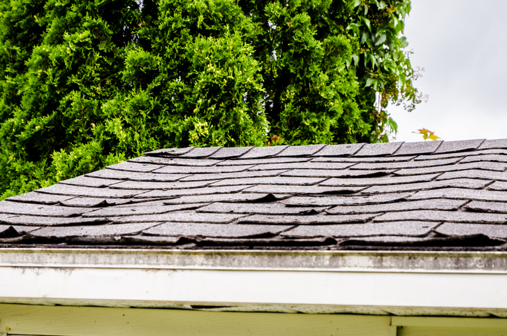 Close-up on damaged asphalt shingles over the roof of a shed in the backyard